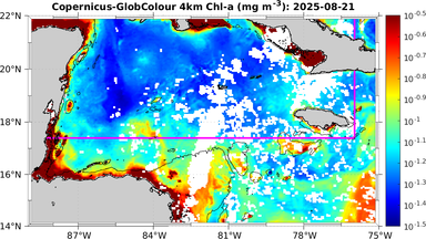 ssc_20250821T0000_caribbean.png