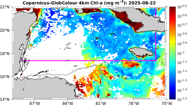 ssc_20250822T0000_caribbean.png