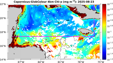 ssc_20250823T0000_caribbean.png