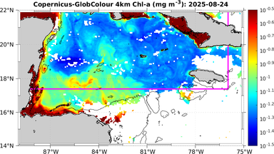 ssc_20250824T0000_caribbean.png