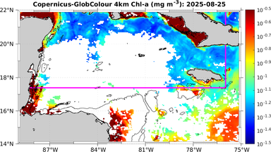 ssc_20250825T0000_caribbean.png