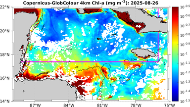 ssc_20250826T0000_caribbean.png