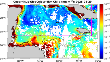 ssc_20250829T0000_caribbean.png