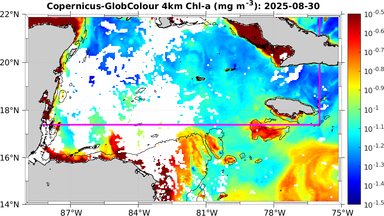 ssc_20250830T0000_caribbean.png