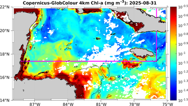 ssc_20250831T0000_caribbean.png
