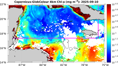 ssc_20250910T0000_caribbean.png