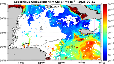 ssc_20250911T0000_caribbean.png