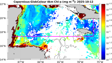 ssc_20251012T0000_caribbean.png
