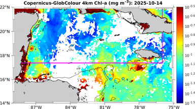 ssc_20251014T0000_caribbean.png