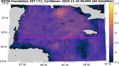SST_20251110T0000Z_carib.png