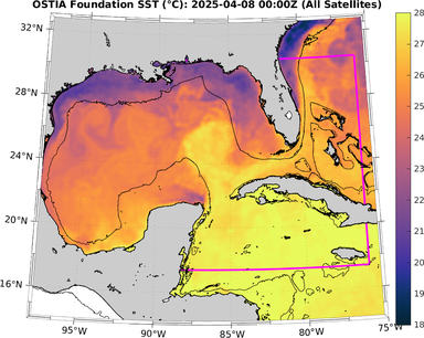 SST_20250408T0000Z.png