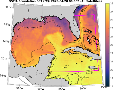 SST_20250420T0000Z.png