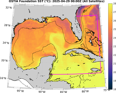 SST_20250429T0000Z.png
