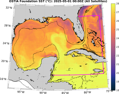 SST_20250501T0000Z.png