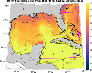 SST_20250509T0000Z.png