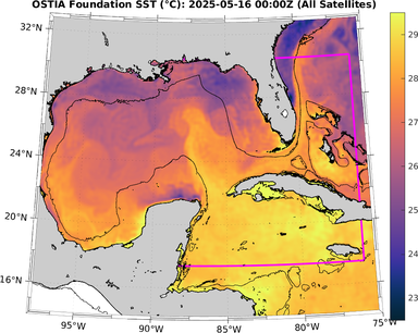 SST_20250516T0000Z.png