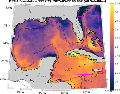 SST_20250522T0000Z.png