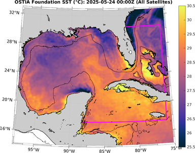 SST_20250524T0000Z.png
