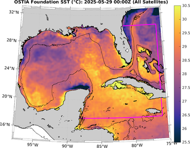 SST_20250529T0000Z.png