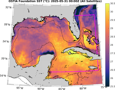 SST_20250531T0000Z.png