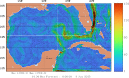 ccnt_Vavg1000m_GomR25deg008_009.gif