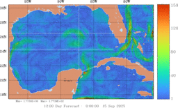 ccnt_Vavg1000m_GomR25deg001_011.gif