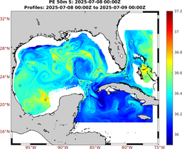 PE_2025_Jul04_GomR25deg003_0050m_20250708_0000Z_dds2025070800Z_dde2025070900Z_S_nocirc.png