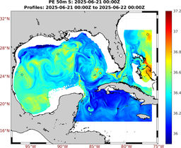 PE_2025_Jun17_GomR25deg004_0050m_20250621_0000Z_dds2025062100Z_dde2025062200Z_S_nocirc.png