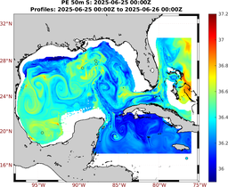 PE_2025_Jun17_GomR25deg004_0050m_20250625_0000Z_dds2025062500Z_dde2025062600Z_S_nocirc.png