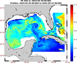 PE_2025_May28_GomR25deg004_0050m_20250530_0000Z_dds2025053000Z_dde2025053100Z_S_nocirc.png
