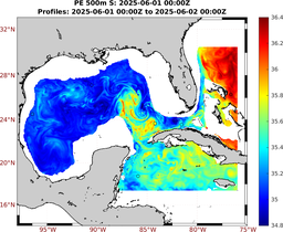 PE_2025_May28_GomR25deg004_0500m_20250601_0000Z_dds2025060100Z_dde2025060200Z_S_nocirc.png
