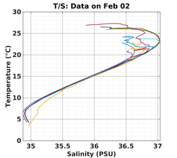 20240202_prof_M3_top5m_ts.png