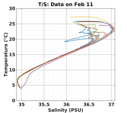 20240211_prof_M3_top5m_ts.png