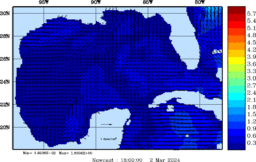 wstr_20240302_1800.gif