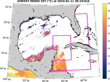 sst_20240111_201001Z.png