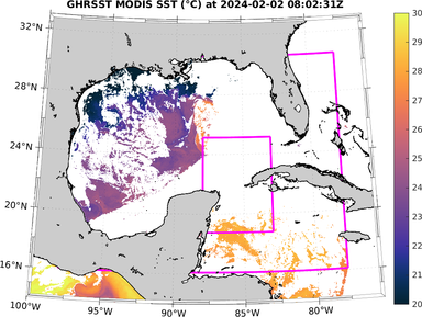 sst_20240202_080231Z.png