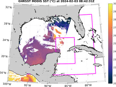 sst_20240203_084231Z.png