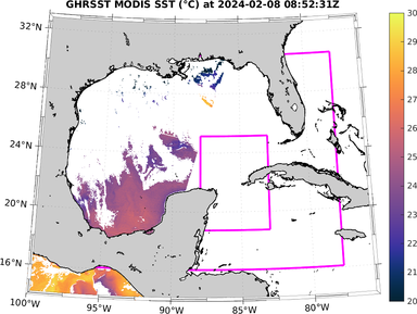 sst_20240208_085231Z.png