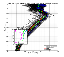 EnsR25deg0001/ARGO-20240401T051748_prof010_PEid-Apr01e_PEtime_20240401T0517Z_Ens_3S_dd.png