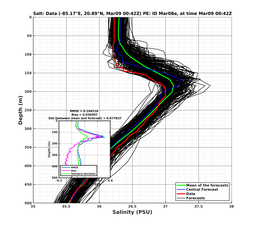 EnsR25deg0001/RU38-20240309T004212_prof001_PEid-Mar08e_PEtime_20240309T0042Z_Ens_3S_dd.png