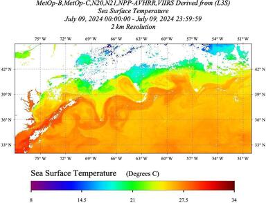 20240709_SST-LEO_Daily_AVHRR+VIIRS.jpg