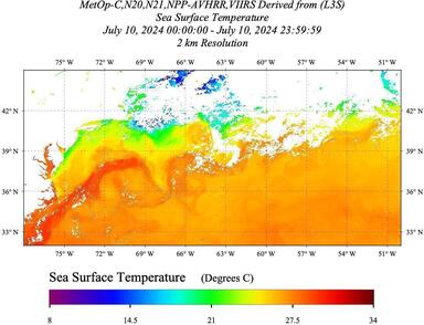 20240710_SST-LEO_Daily_AVHRR+VIIRS.jpg