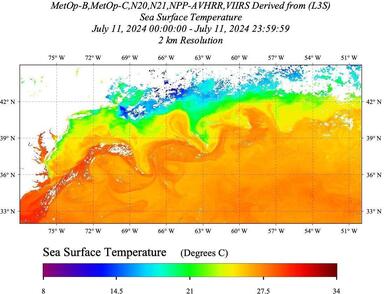 20240711_SST-LEO_Daily_AVHRR+VIIRS.jpg