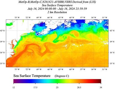 20240716_SST-LEO_Daily_AVHRR+VIIRS.jpg