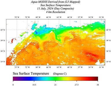 AQUA_MODIS_20240711_DAY_SST_4km_NRT.jpg