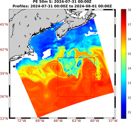 PE_2024_Jul28_Nesma0p022deg0003_0050m_20240731_0000Z_dds2024073100Z_dde2024080100Z_S.png