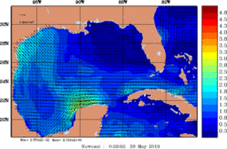 wstr_20190529_0000.gif