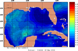wstr_20190528_0600.gif