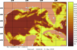 rad_20190531_1800.gif