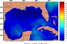 wstr_20190531_0600.gif